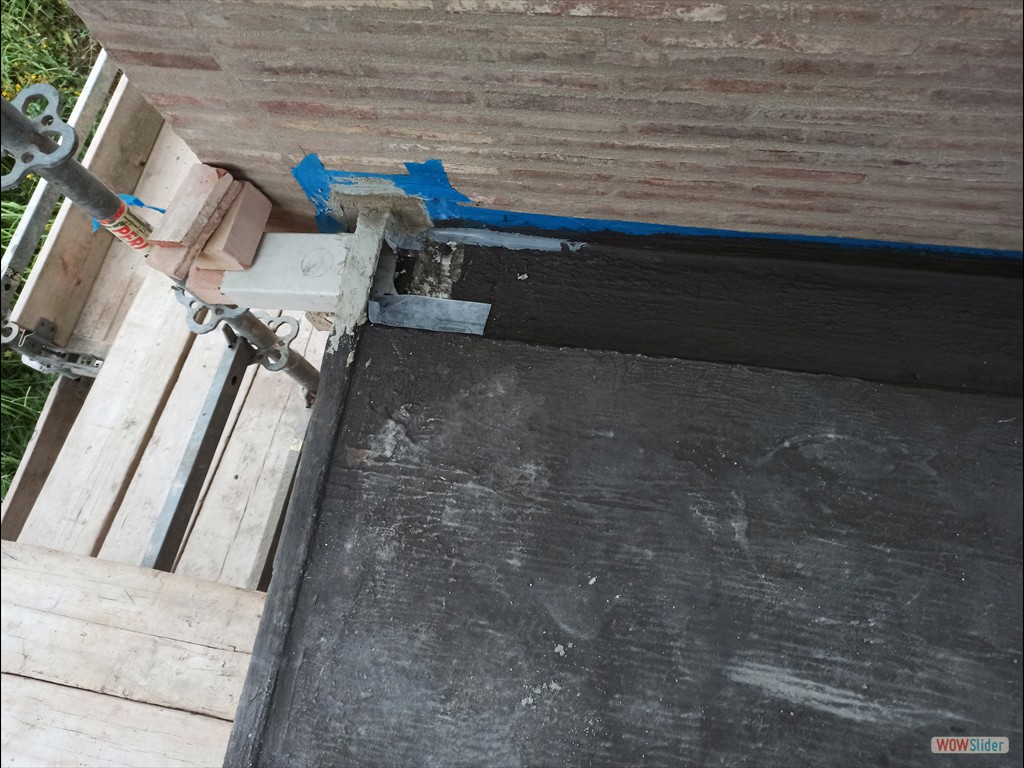 IMG_20230720_061608 IMG_20230720_061608